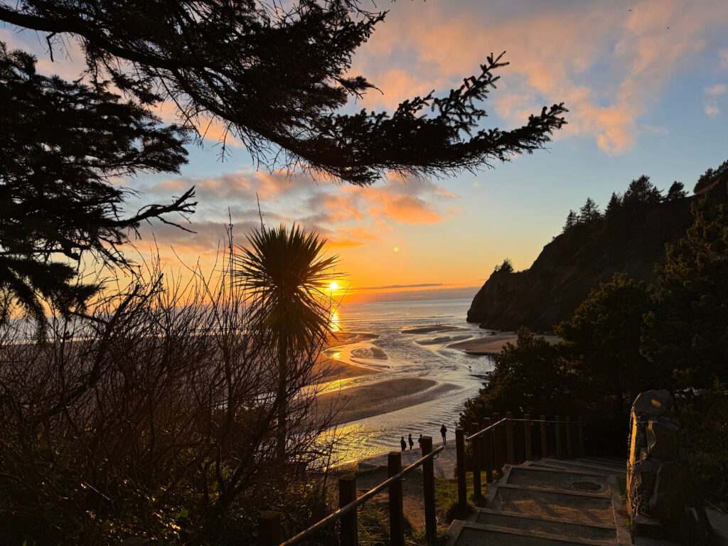 Sunset over a sandy beach, framed by silhouetted trees. Vibrant orange and pink sky reflects on water, creating a serene and peaceful scene.